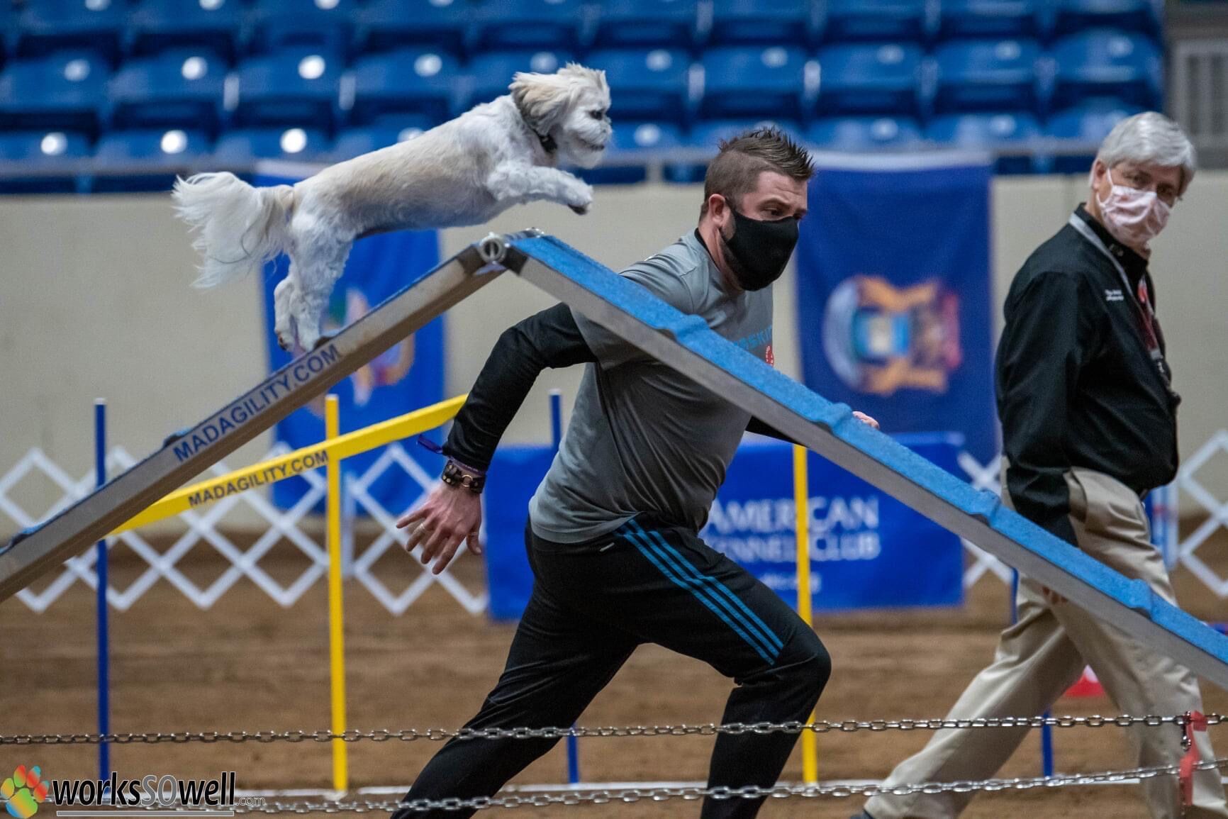 Polly with handler Nicholas Carleton